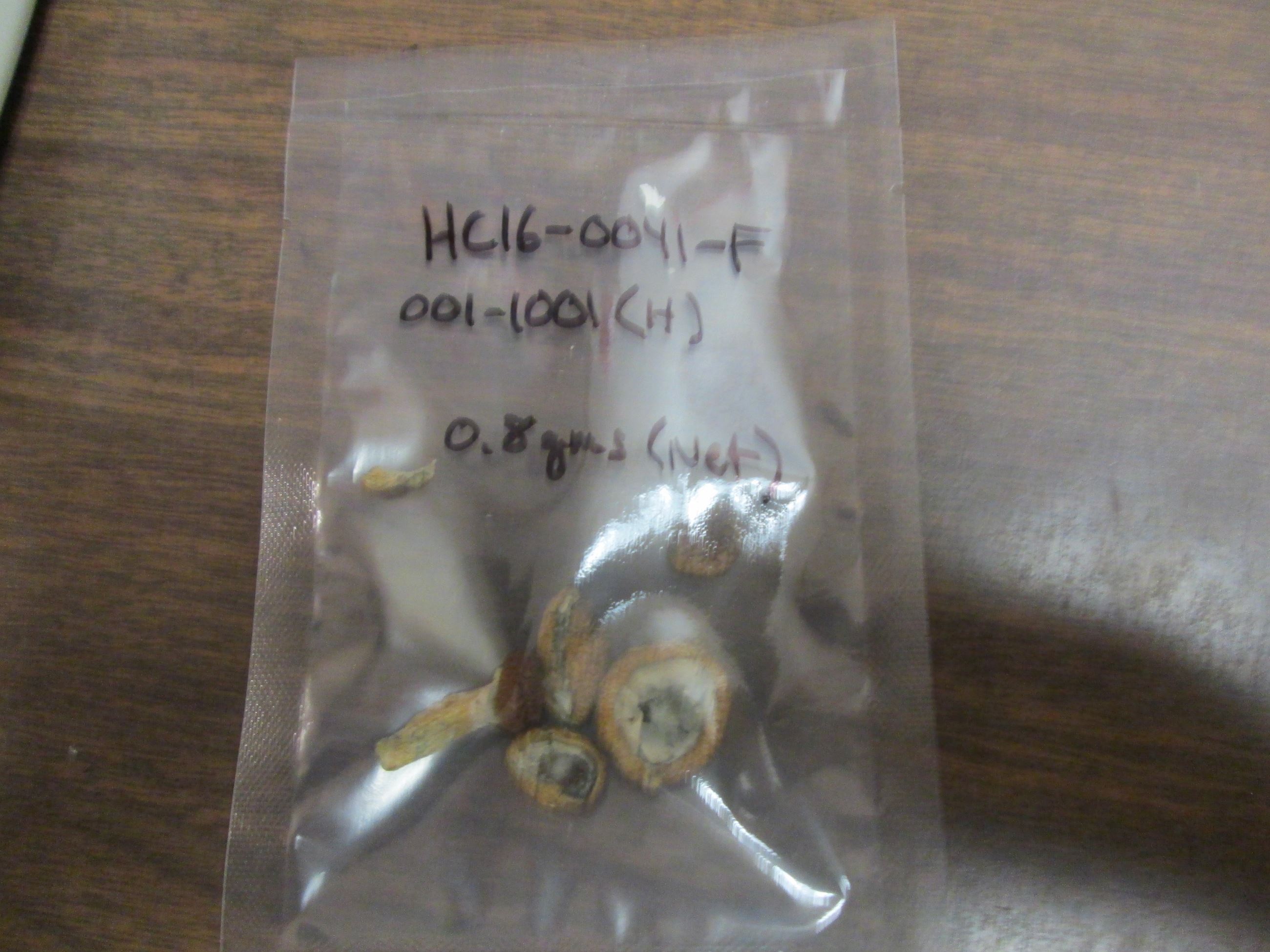 Drug Task Force Case 16-041